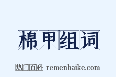 棉甲组词是什么意思的图片